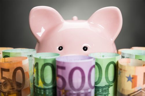 Geldscheine und Sparschwein